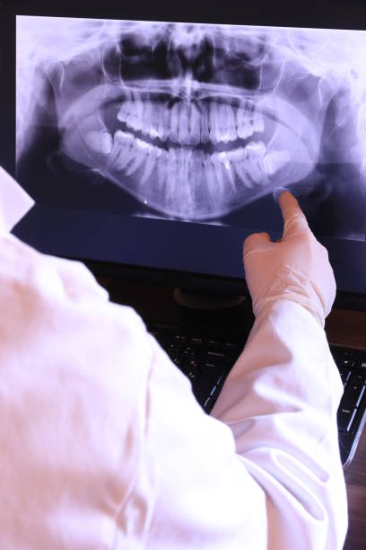 Best Emergency X-Rays and Diagnostics in Fairfax Station, VA